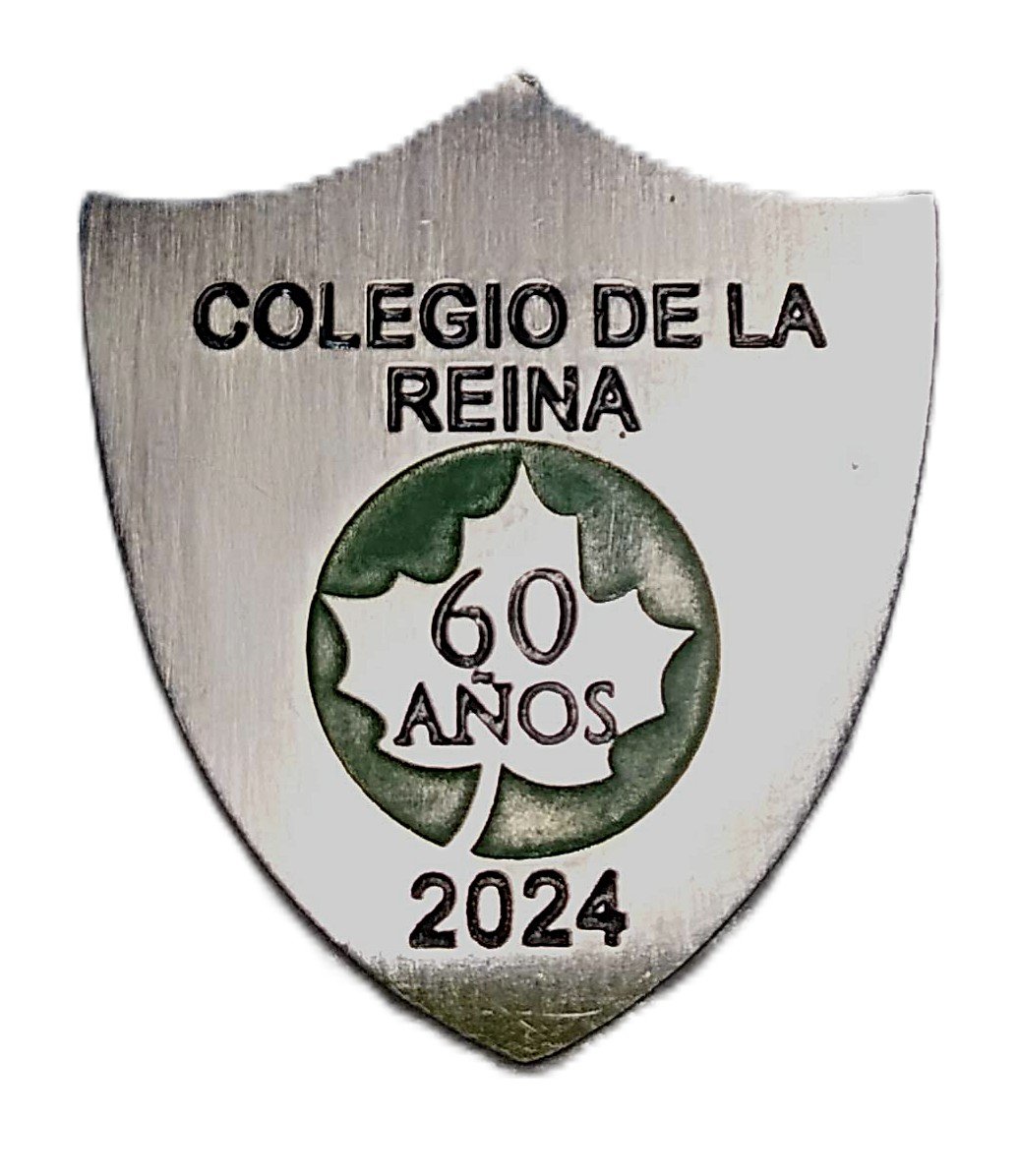 Pin solapa tipo escudo