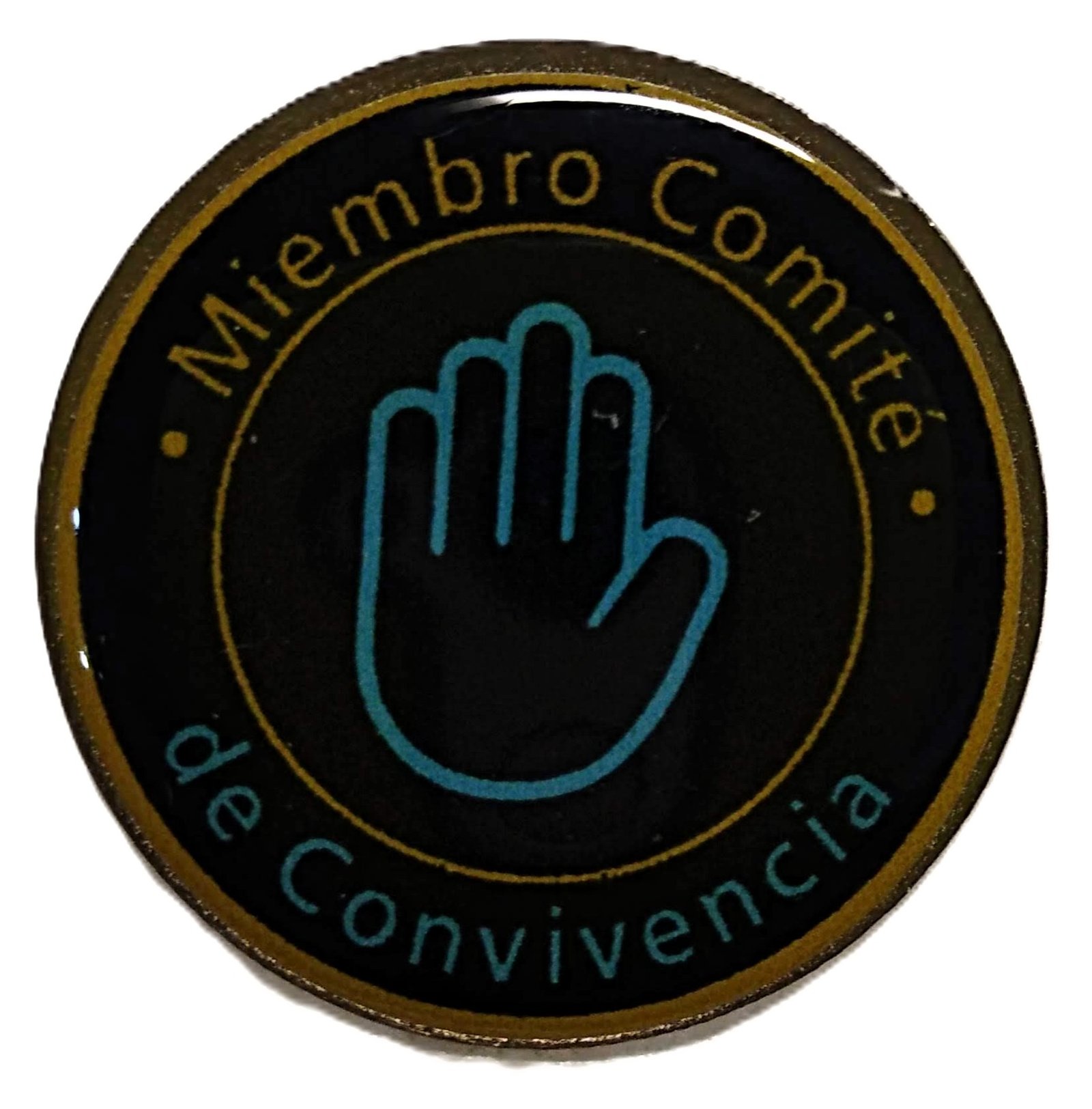 Pin redondo solapa con resina