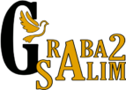 logo corporativo graba2salim