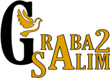 logo corporativo graba2salim